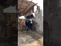 البرش واحد واسط