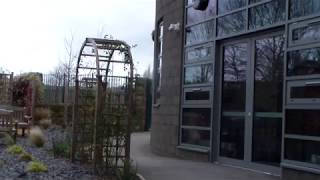 Famous Horror trailer.mp4 Wealth