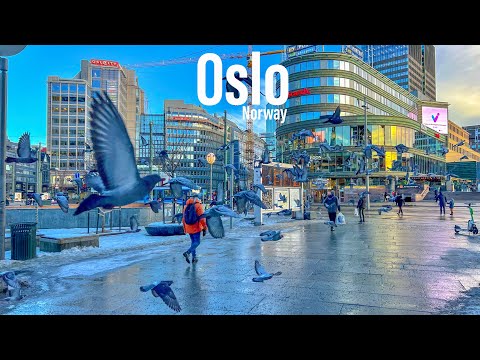 Video: Oslo, Norvegiya shahar profili