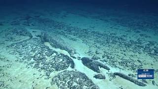 Deep-sea mining plan off American Samoa draws criticism