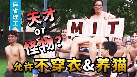 【美國探校】【麻省理工】首次參觀MIT“最窮宿舍樓” 進門才發現都不是“正常人” - 天天要聞