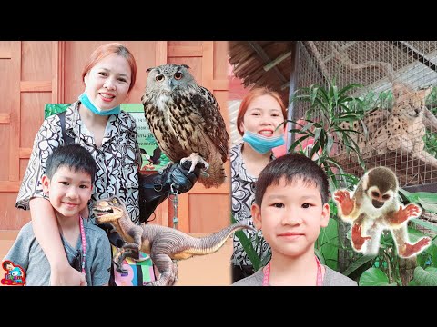 น้องบีม | ถ่ายรูปกับนกเค้าอินทรี เที่ยวชลบุรี พิพิธภัณฑ์สัตว์แปลก Monsters aquarium pattaya