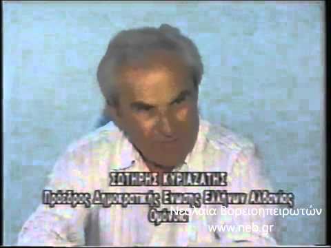 ΟΜΟΝΟΙΑ 1994/ Πολιτική