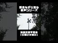 防災行政無線チャイム 神奈川県平塚市「夕焼け小焼け」#防災行政無線 #防災無線 #チャイム #時報 #メロディー #音楽 #曲 #夕方 #神奈川県 #平塚市 #夕焼け小焼け #TOA新音源