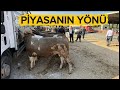 KIRIKKALE HAYVAN PAZARI 07 TEMMUZ