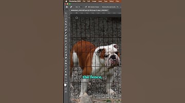 Photoshop Magic: Watch How I Remove a Fence in Seconds! ✨🪜 #shorts