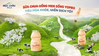 SỮA CHUA UỐNG MEN SỐNG YO-PRO - TIÊU HOÁ KHOẺ, MIỄN DỊCH TỐT