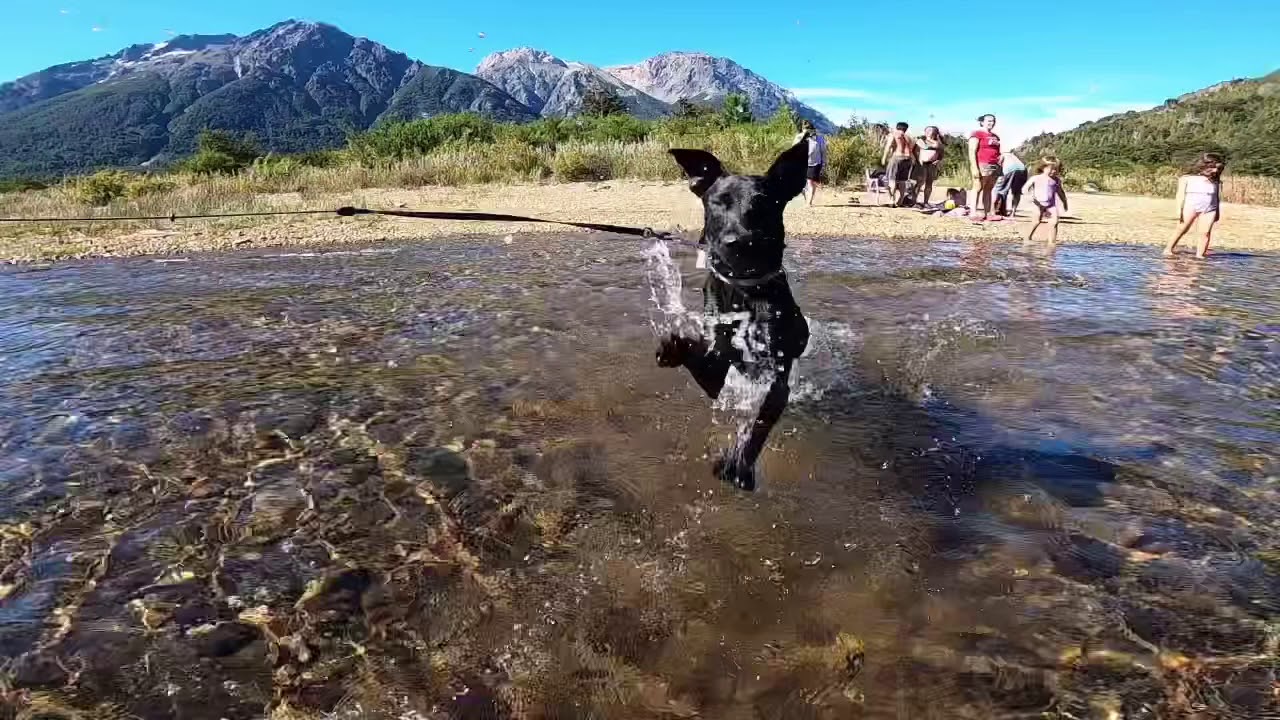 Playa del Lago Mascardi