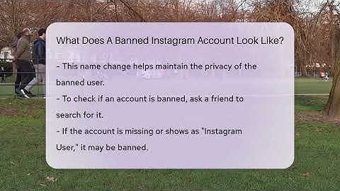 What Does A Banned Instagram Account Look Like? - Everyday-Networking