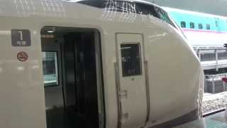 E657系 特急ときわ72号 品川行き 東京駅発車