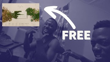 Hypha By Native Instruments is FREE!! - Made a Crazy Beat Using Fl Studio 20.8 !!!!