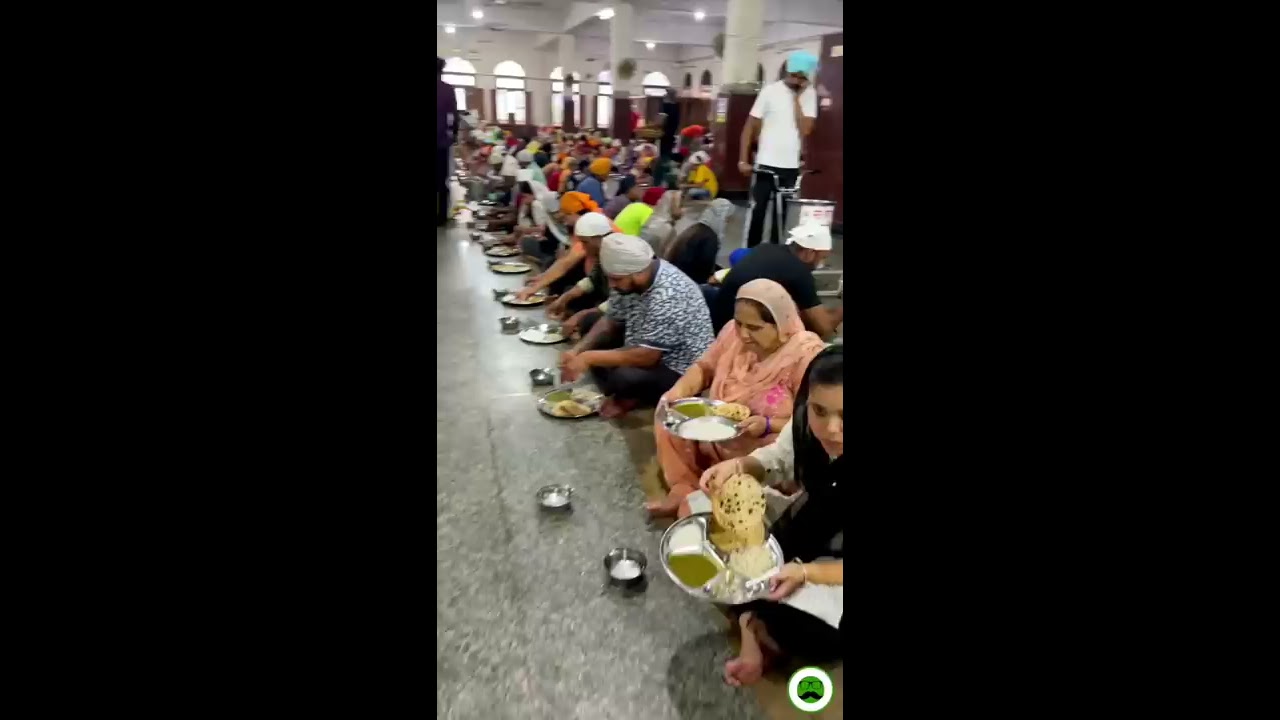 Golden Temple Langar  Veggie Paaji  shorts