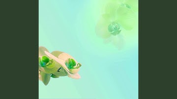 High Class Music for Optimistic Worlds