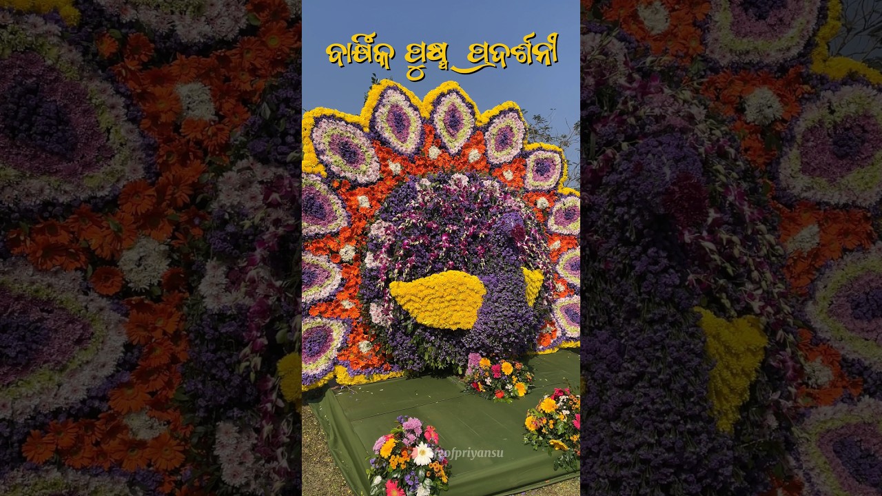 Annual Flower Show 2026😍 | Bhubaneswar Flower Show | Ekamra Kanan Flower Show ❤️