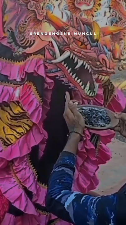 #barongdevil #shortvideo #storywa30detik #barongpinkk