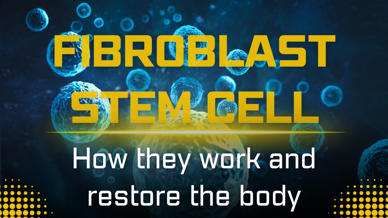 Regenerate your skin and so much more with Fibroblast Stem Cells. Learn one of secrets of your body.