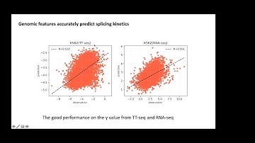 Genomic sequences and RNA binding proteins predict... - Ruiyan Hou - iRNA - Talk - ISMB/ECCB 2021