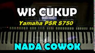 Wis Cukup - Didi Kempot ( KARAOKE )