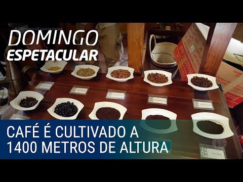 Vídeo: Onde é o berço do café