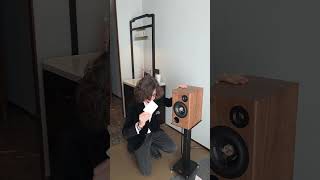 How do these unique speakers with GAIT glass drivers sound?