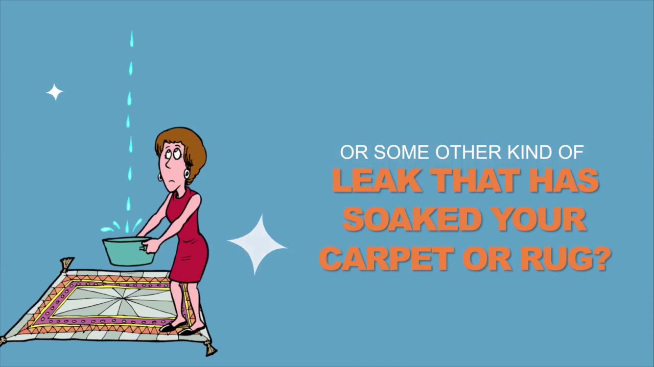 When to Discard Water Damaged Carpet