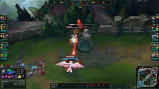 Quinn Bug