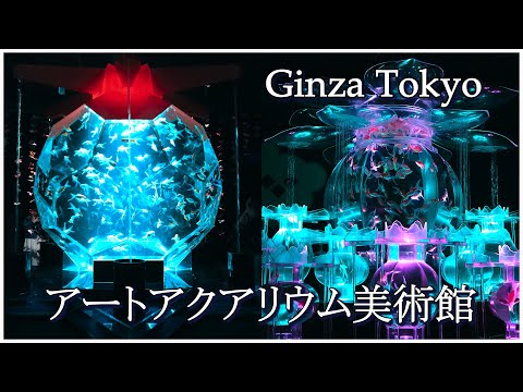 明滅する幻想の世界【アートアクアリウム 美術館 GINZA 】2024年初夏