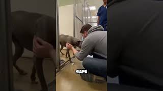 Youre Safe Now And He Finally Believed It