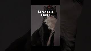 Gelar Raja Tersingkat di Dunia, hanya 20 menit!