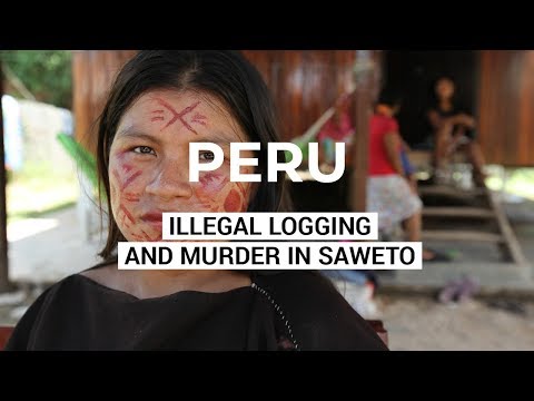 Video: Demonstrasi Solidaritas Dengan Masyarakat Adat Peru - Matador Network