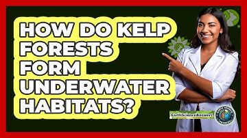 How Do Kelp Forests Form Underwater Habitats?