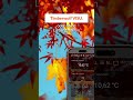 🎉 Timberwolf Server – Insider Preview 2 für 4.8 ist da! 🚀