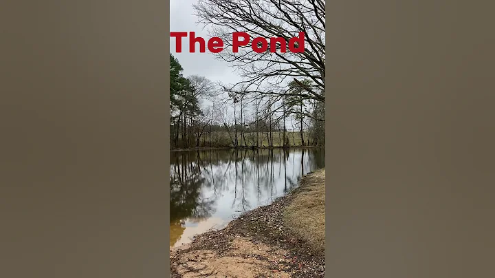 “Murder at the Mill Pond” #movieclip - DayDayNews