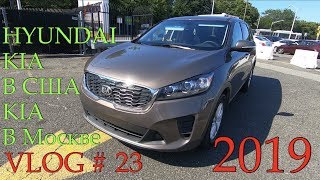 HYUNDAI и KIA в США на прокат и KIA sorento prame в Москве 2019 -VLOG # 23 #KIA #HYUNDAI #travel