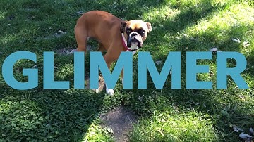 Glimmer Unreal Engine Plugin