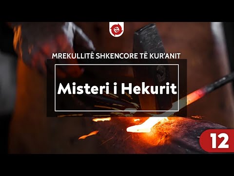 Video: A ishte e rëndësishme metoda shkencore?