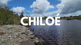 No busques más, encontraste tu lugar en Chiloé.