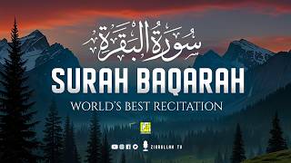 SURAH AL BAQARAH سورة البقره | ULTIMATE MAJESTIC HEARTWARMING QURAN RECITATION | Zikrullah TV