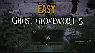 Where to find ghost glovewort 5 in Elden ring easy 
