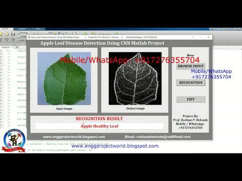 Apple Plant Leaf Disease Classification Using CNN With Source Code Apple Leaf Disease Detect Matlab