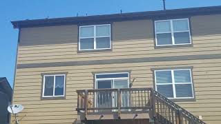 Shanann Watts back yard #ShanannWatts #ChrisWatts #BellaWatts #CeCeWatts