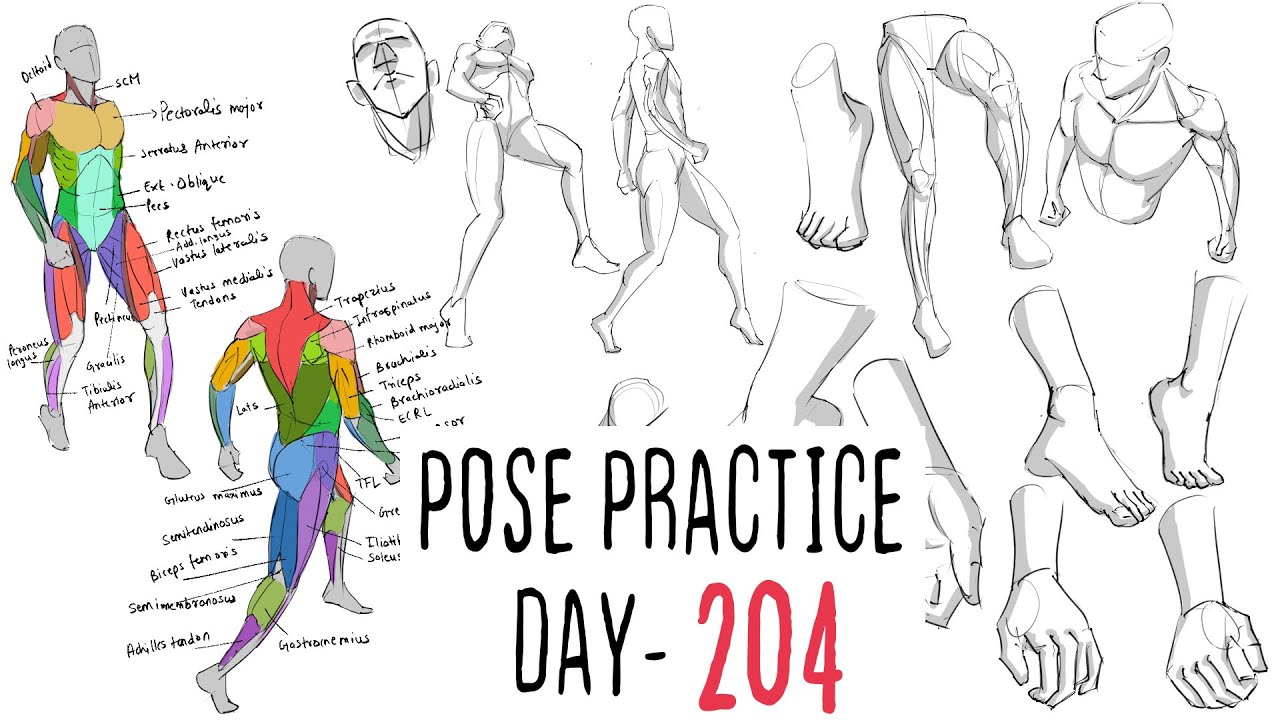 Daily Pose Practice Part 204 - YouTube