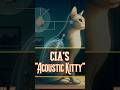 CIA S ACOUSTIC KITTY mp3