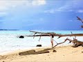 海は恋してる(ザ・リガニーズ) 多重録音