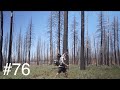 PCT 25 EPISODE 76 Dixie Fire Delight PCT 25 EPISODE 76 Dixie Fire Delight