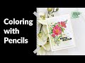 Coloring with Woodless Coloring Pencils