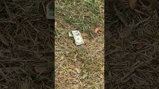 Look! I found a dollar! Lol im rich