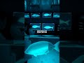 How Ribbonfish Sense Earthquakes Before They Happen: Nature's Early Warning System