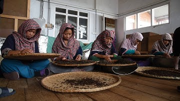 Jun Chiyabari - In the factory / Hand sorting - video 1
