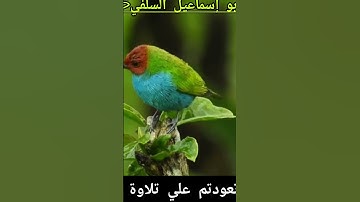 يامن تعودتم علي تلاوة القرآن  **** الشيخ صالح الفوزان حفظه الله